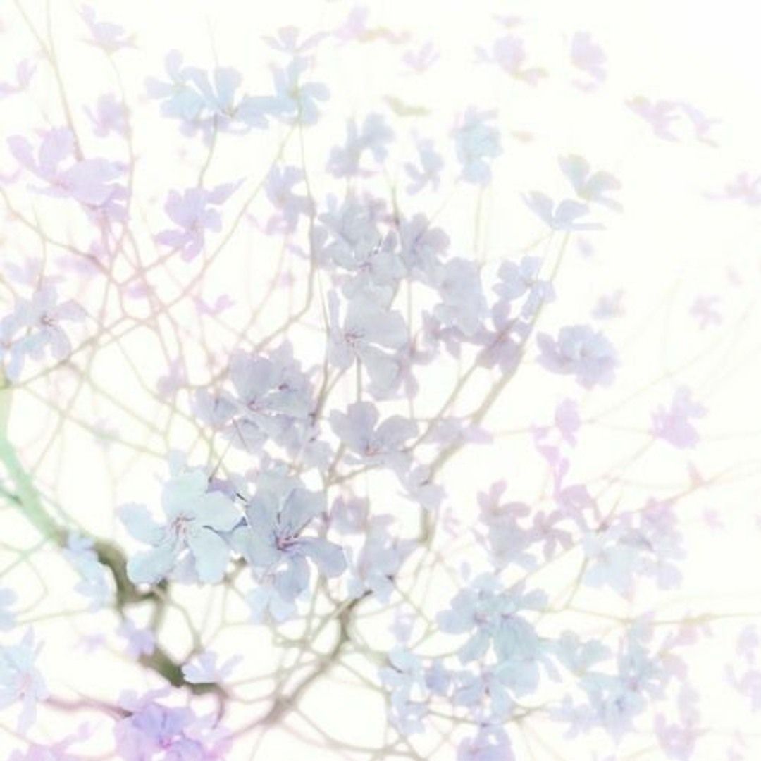 transcendental 3d animated tree with white flowers