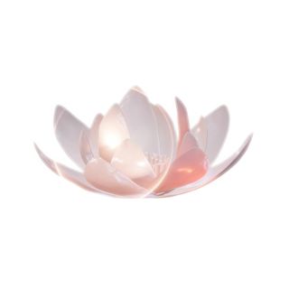 transcendental 3d animated white-lotus